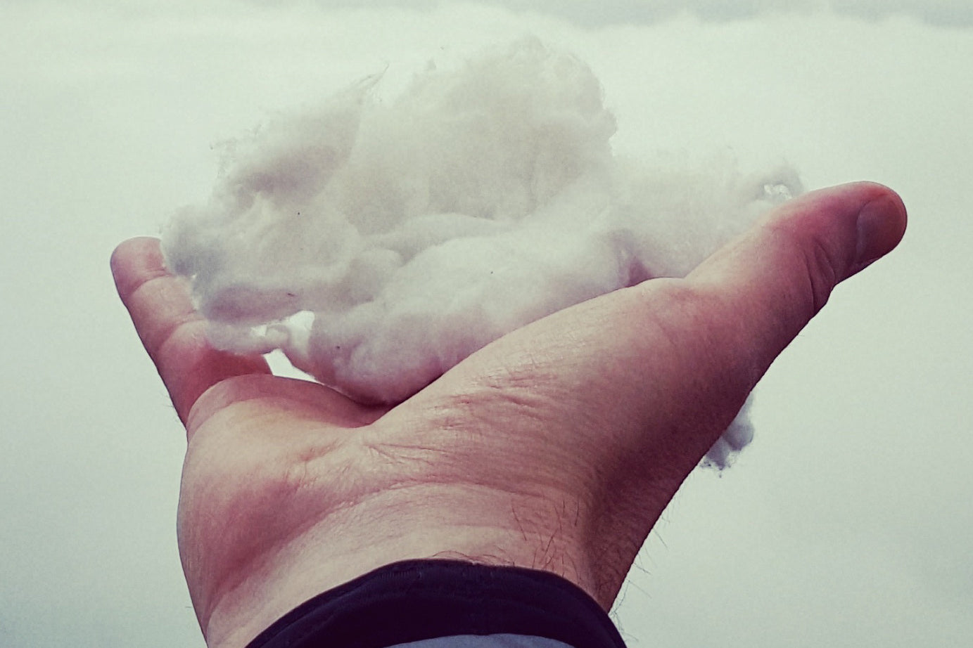Unprocessed cotton.