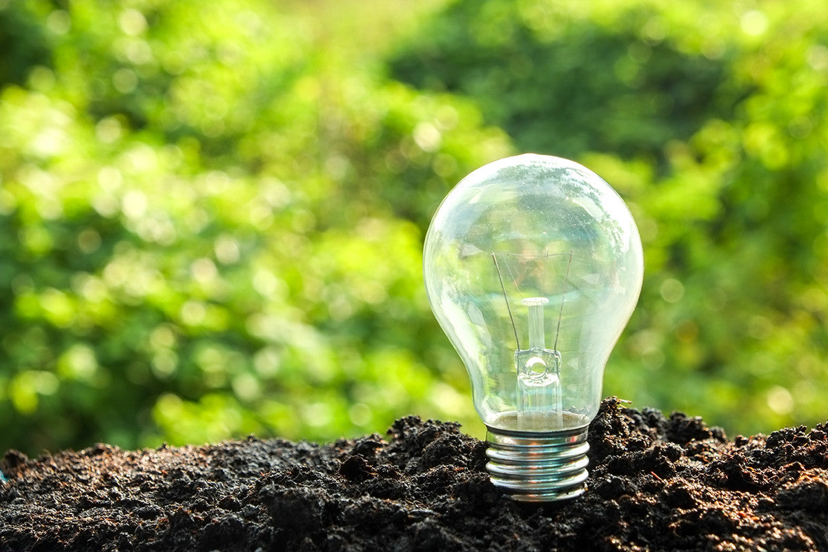 A light bulb sticking out of dirt